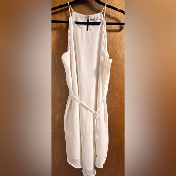 Naked Zebra White Sheath Dress | Luxury | Lightweight | Flowy | Feminine - Picture 3 of 10